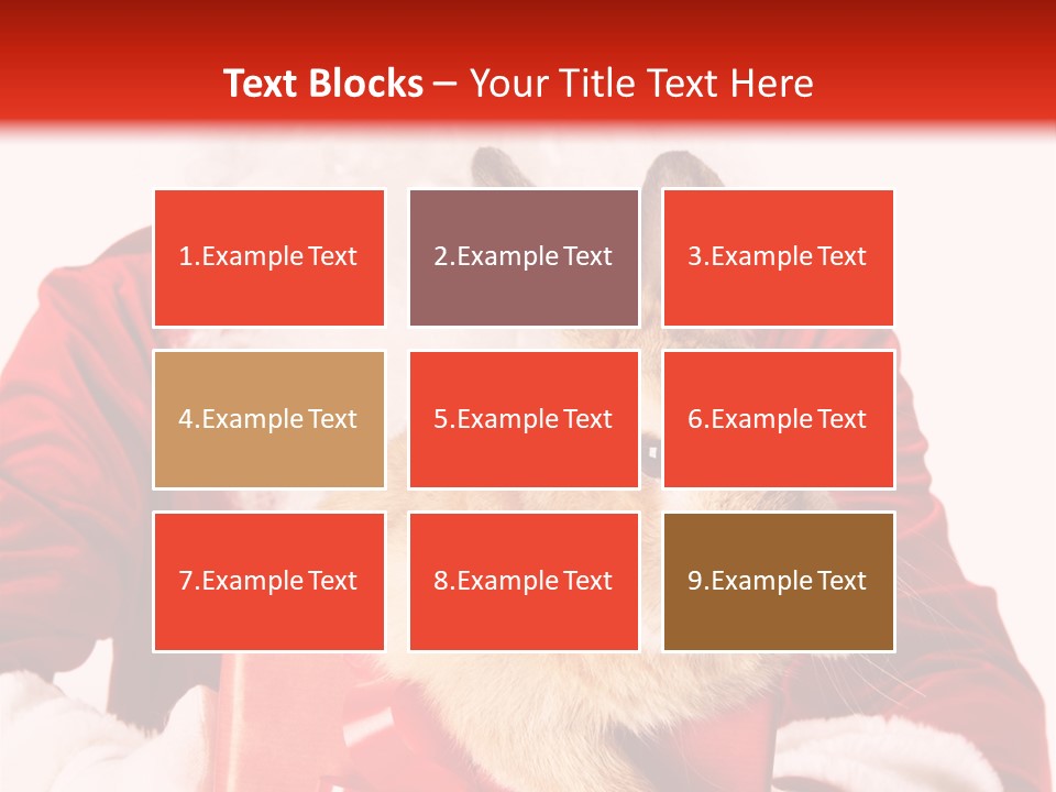 Mammal Occasion Holding PowerPoint Template