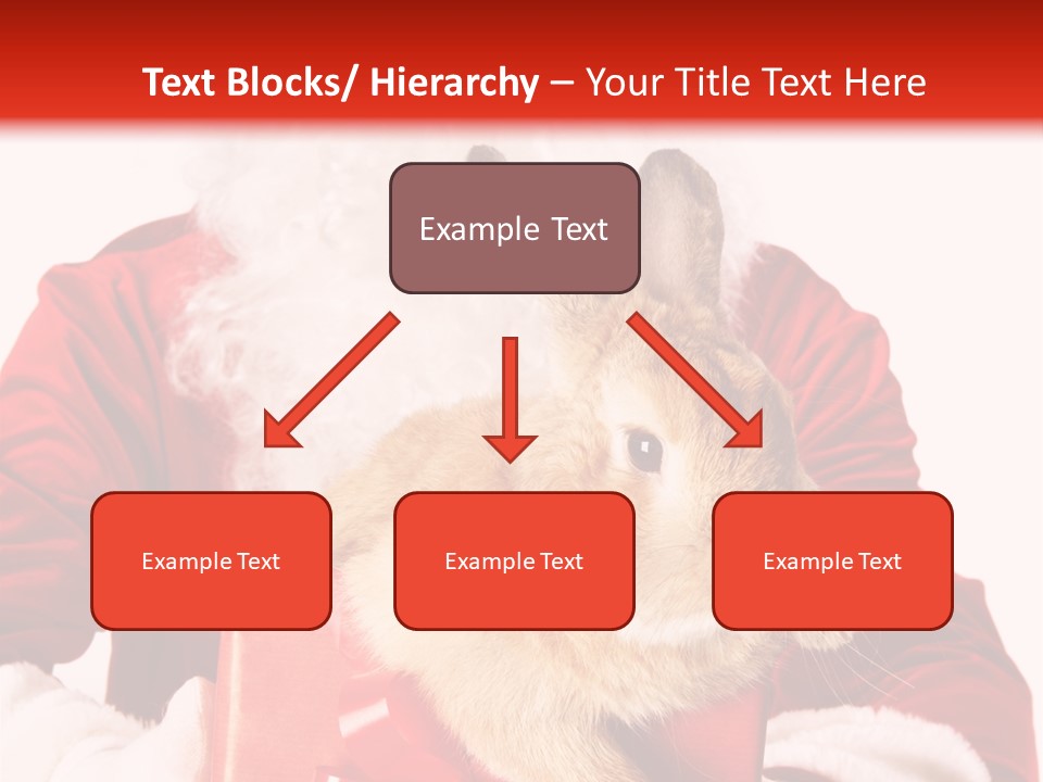 Mammal Occasion Holding PowerPoint Template