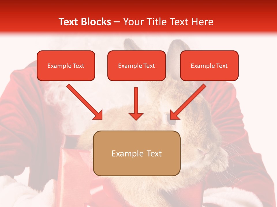 Mammal Occasion Holding PowerPoint Template
