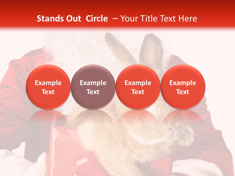 Mammal Occasion Holding PowerPoint Template