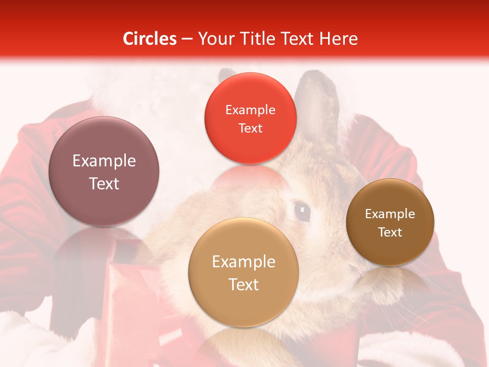 Mammal Occasion Holding PowerPoint Template