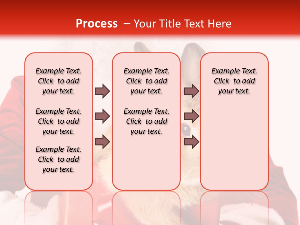 Mammal Occasion Holding PowerPoint Template
