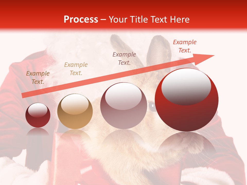 Mammal Occasion Holding PowerPoint Template