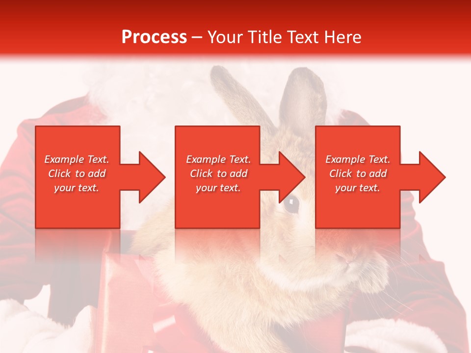 Mammal Occasion Holding PowerPoint Template