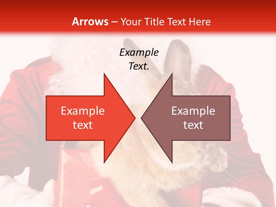 Mammal Occasion Holding PowerPoint Template