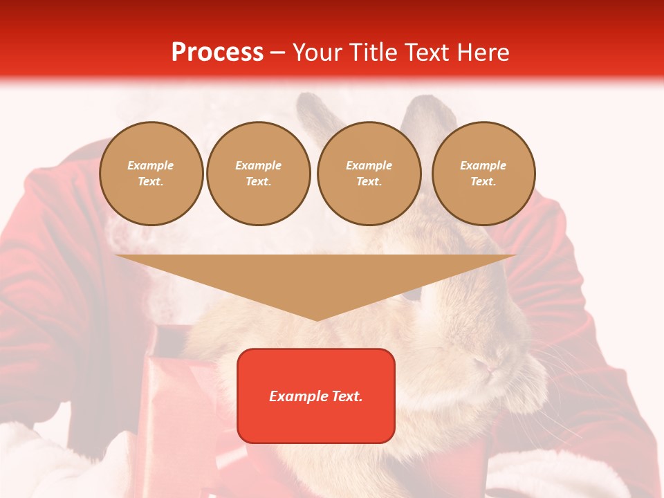 Mammal Occasion Holding PowerPoint Template