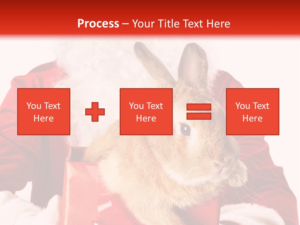 Mammal Occasion Holding PowerPoint Template