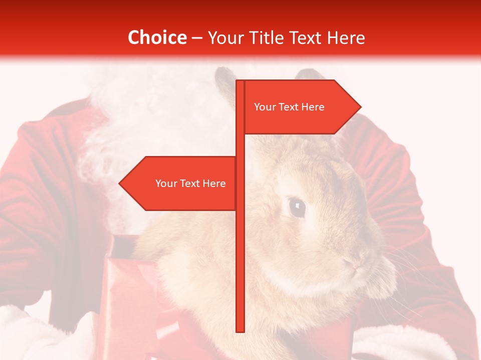 Mammal Occasion Holding PowerPoint Template