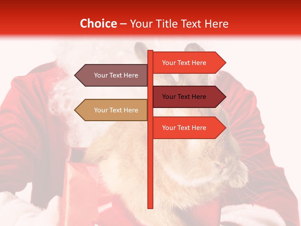 Mammal Occasion Holding PowerPoint Template