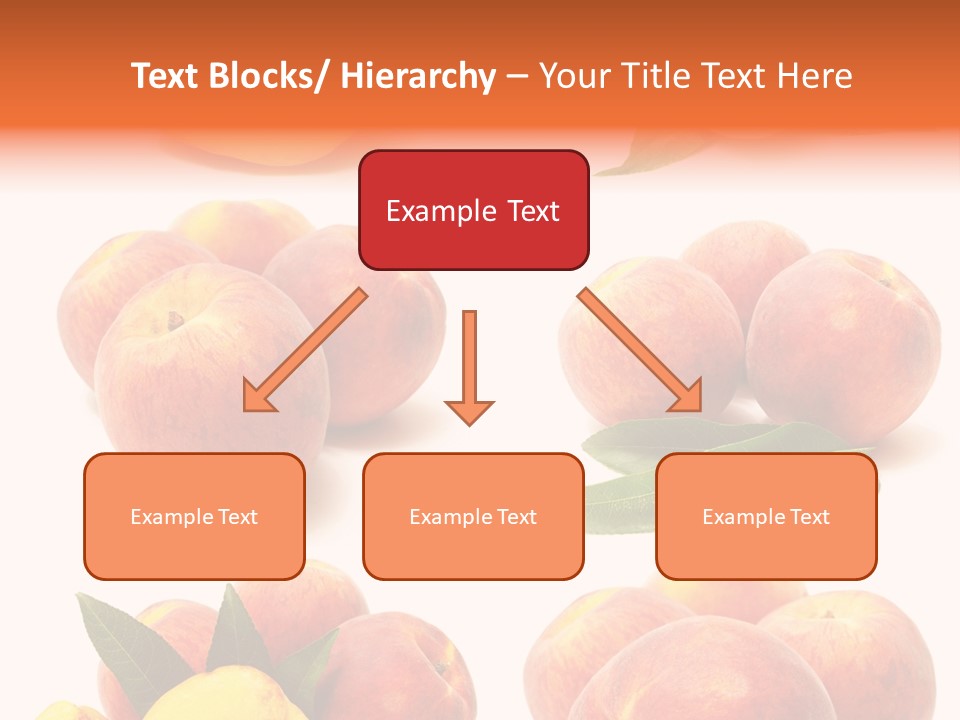 Orange Vitamins Harvest PowerPoint Template