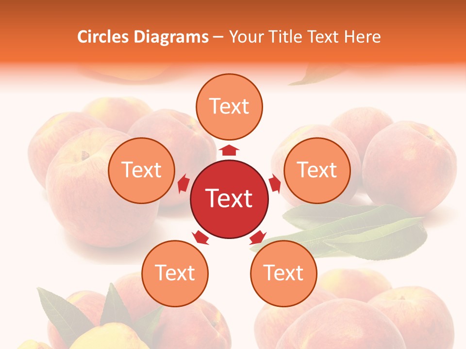 Orange Vitamins Harvest PowerPoint Template