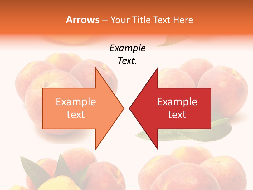 Orange Vitamins Harvest PowerPoint Template