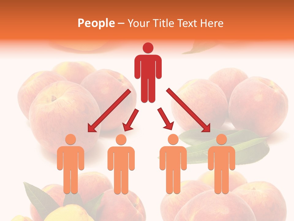 Orange Vitamins Harvest PowerPoint Template