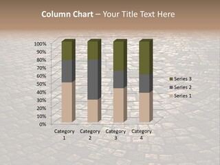 Traditional Pebble Way PowerPoint Template