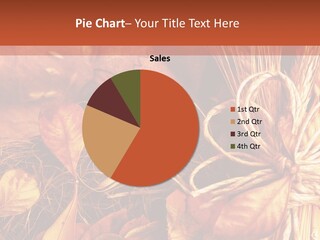 Ear Vintage Objects PowerPoint Template