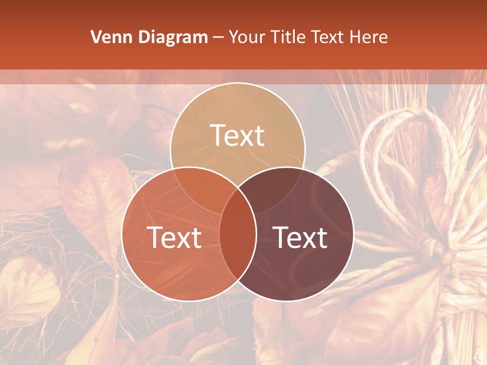 Ear Vintage Objects PowerPoint Template