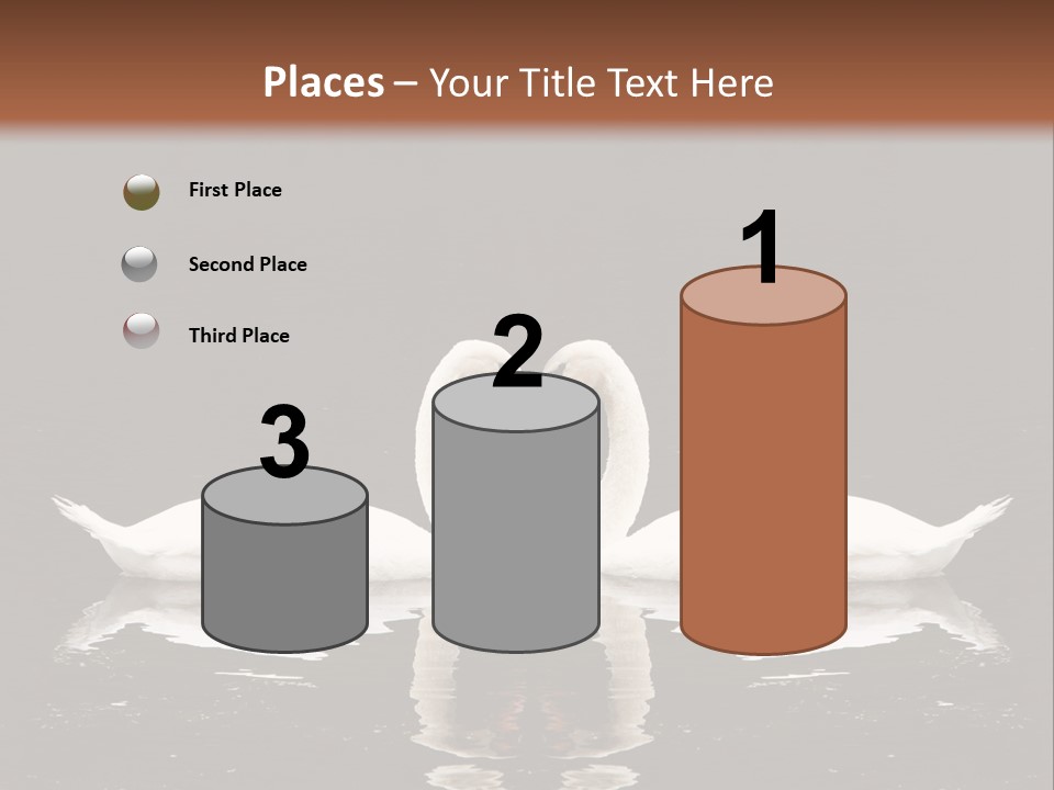 White Fauna Animal PowerPoint Template