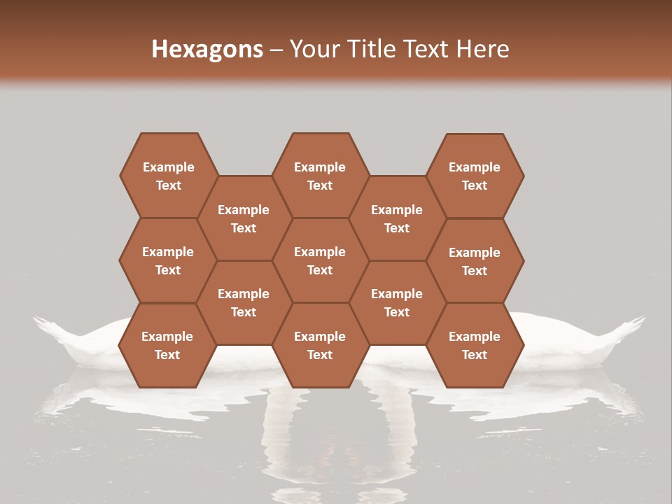 White Fauna Animal PowerPoint Template