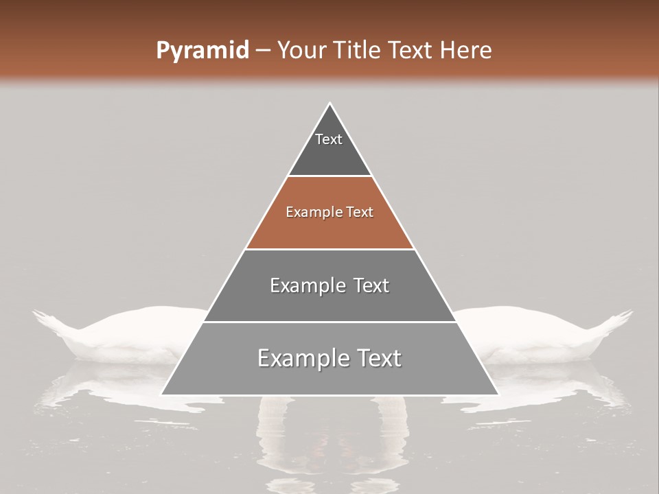 White Fauna Animal PowerPoint Template