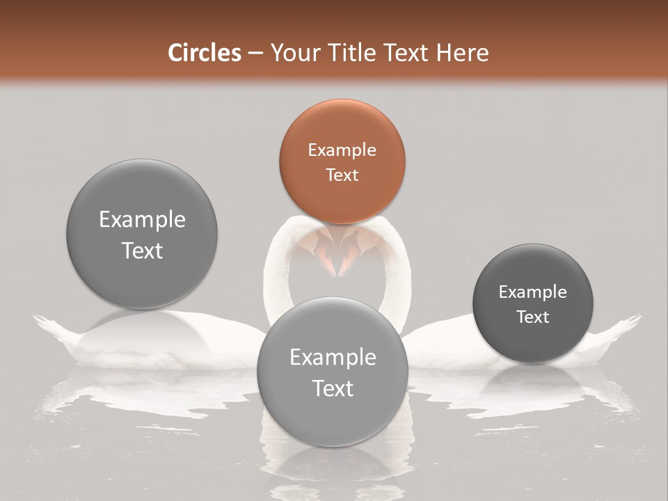 White Fauna Animal PowerPoint Template