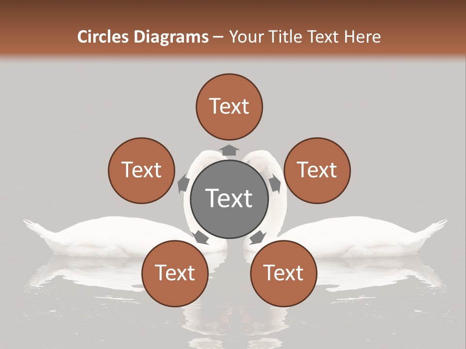 White Fauna Animal PowerPoint Template