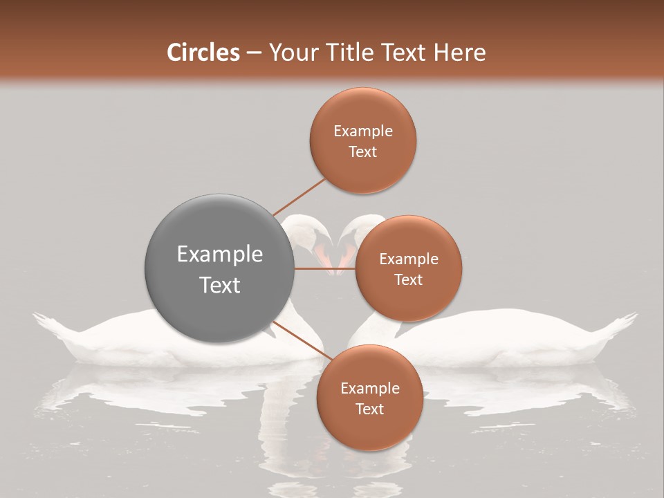 White Fauna Animal PowerPoint Template