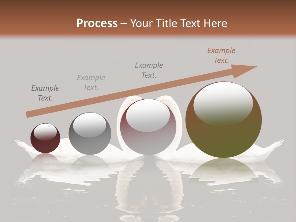 White Fauna Animal PowerPoint Template