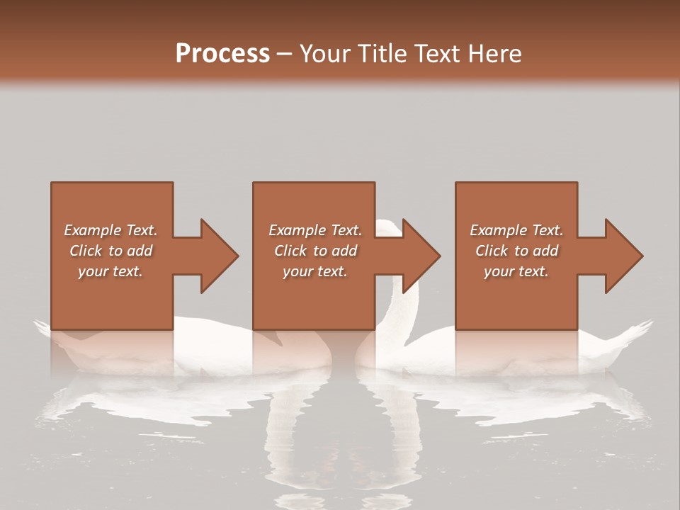 White Fauna Animal PowerPoint Template