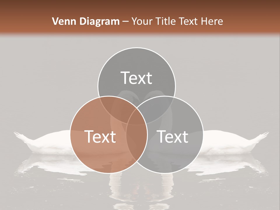 White Fauna Animal PowerPoint Template