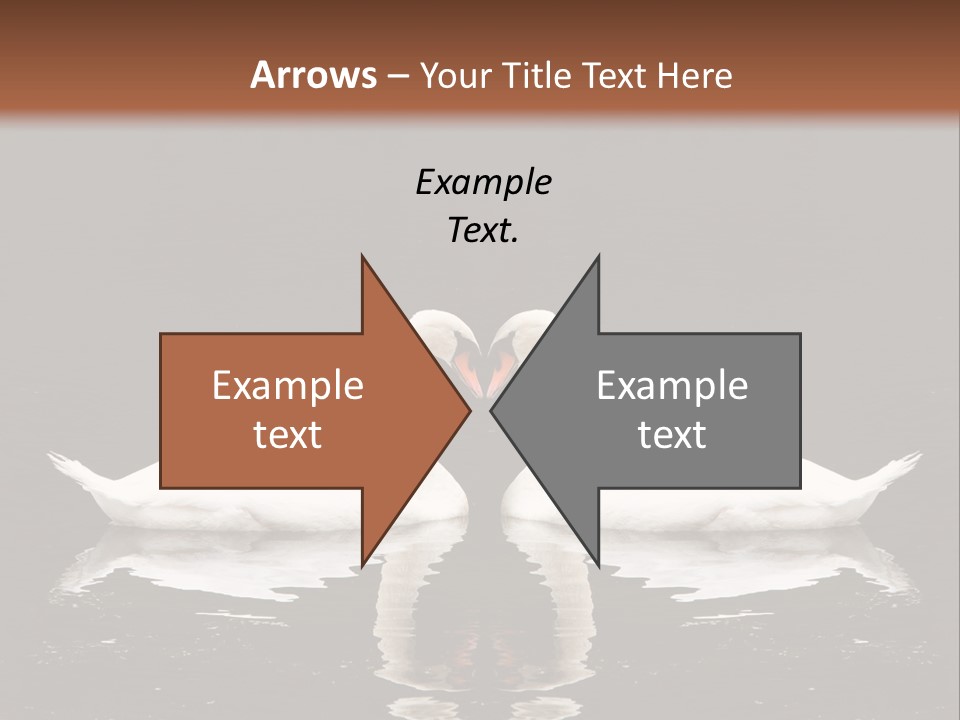 White Fauna Animal PowerPoint Template