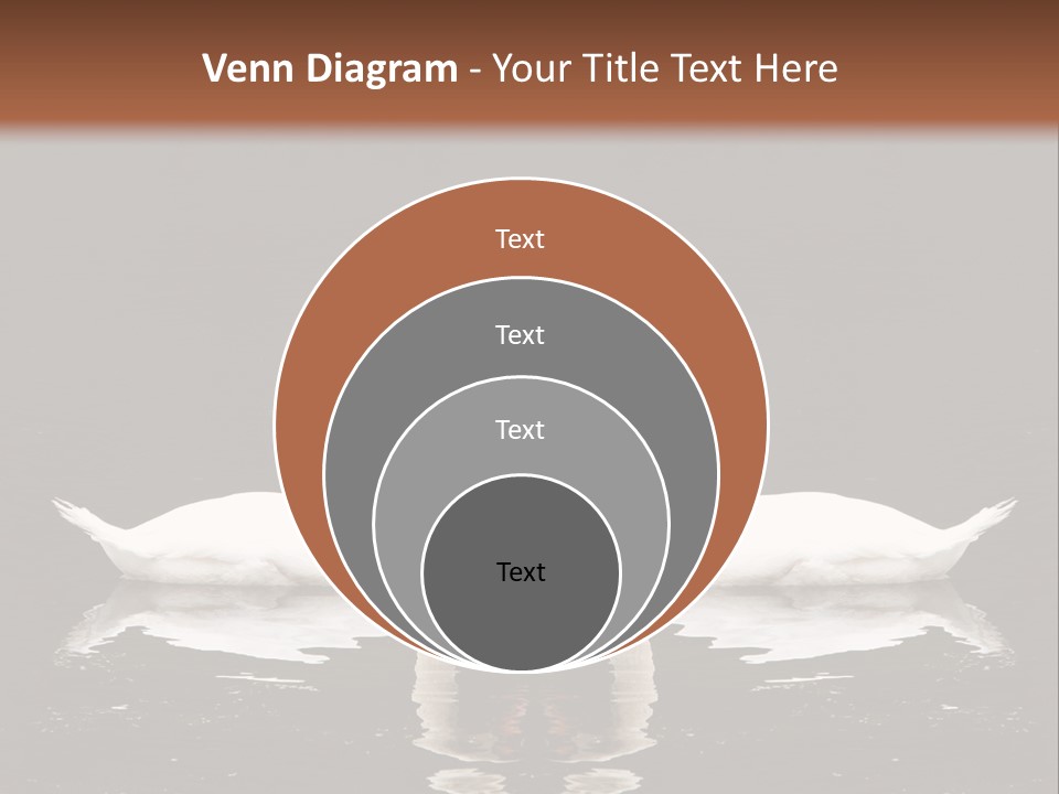 White Fauna Animal PowerPoint Template