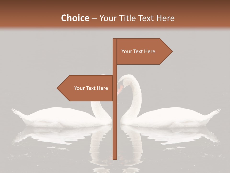 White Fauna Animal PowerPoint Template