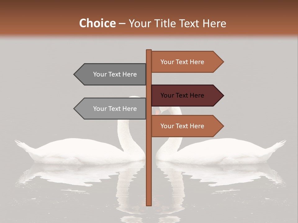 White Fauna Animal PowerPoint Template