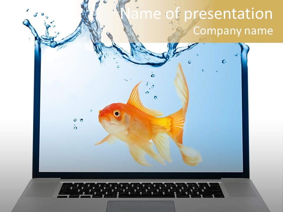 Screen White Fish PowerPoint Template