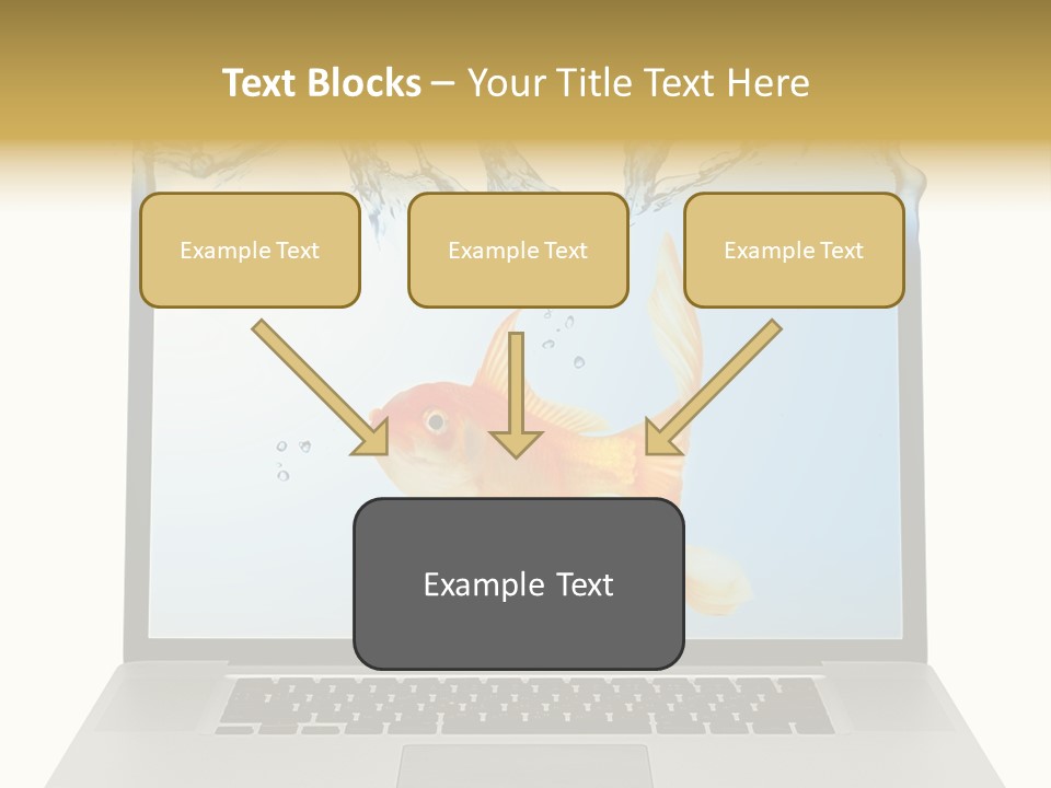 Screen White Fish PowerPoint Template