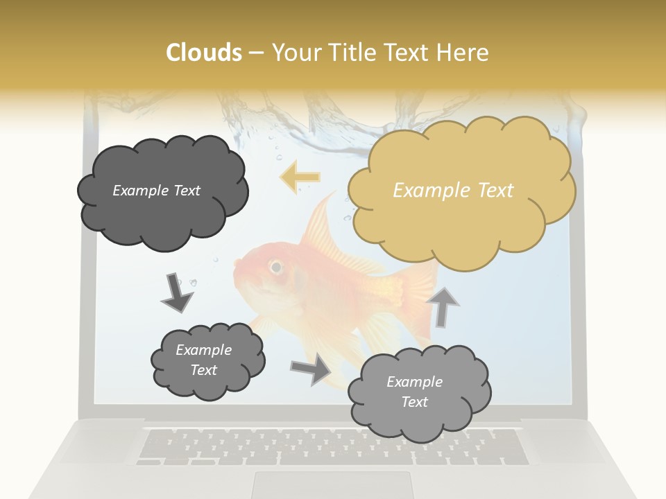 Screen White Fish PowerPoint Template