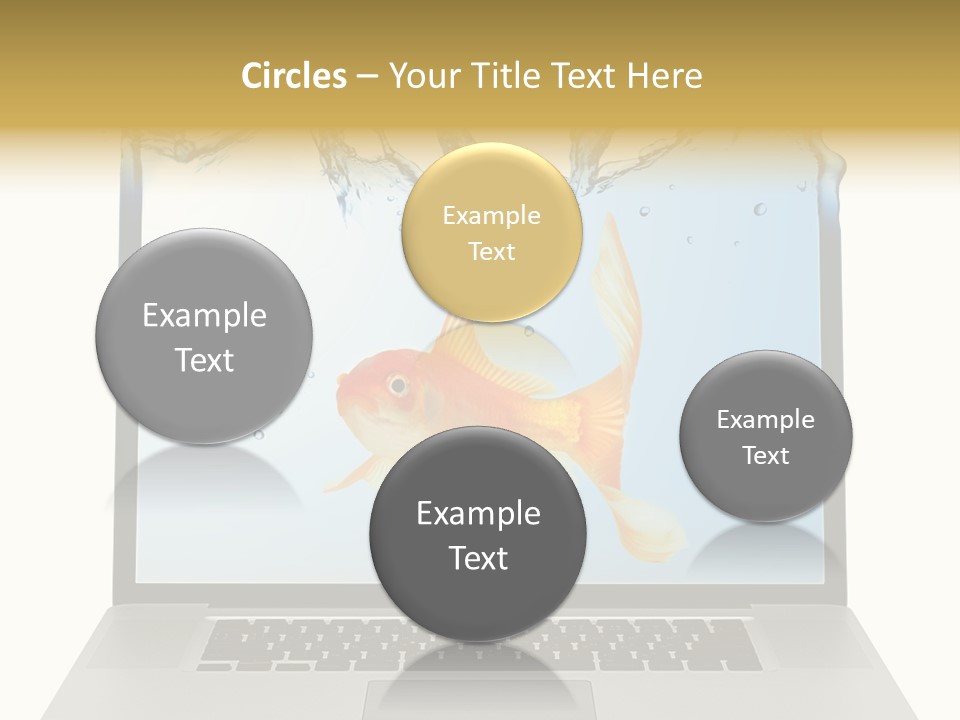 Screen White Fish PowerPoint Template