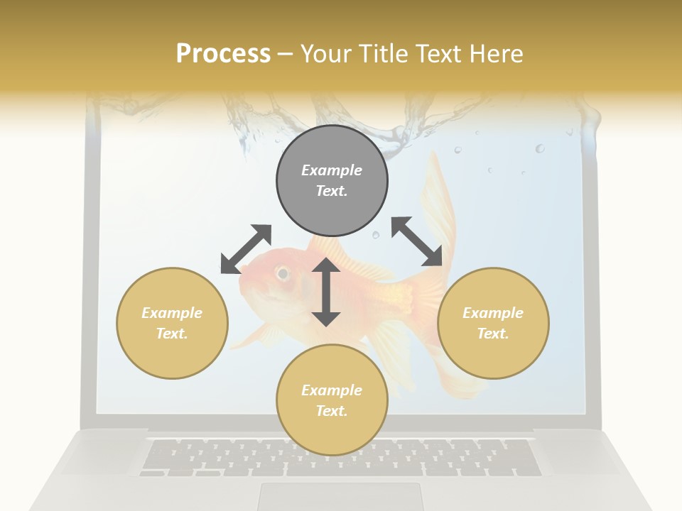 Screen White Fish PowerPoint Template
