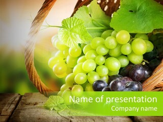 Bundle Copy Vegetation PowerPoint Template