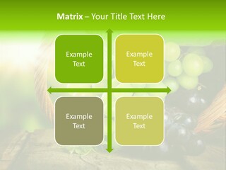 Bundle Copy Vegetation PowerPoint Template