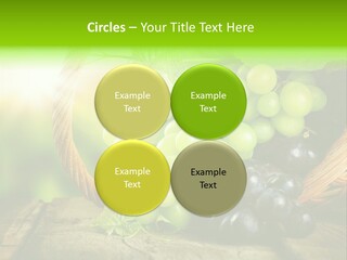 Bundle Copy Vegetation PowerPoint Template