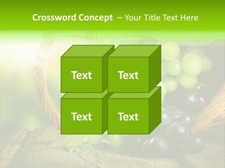 Bundle Copy Vegetation PowerPoint Template