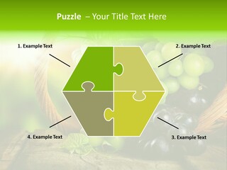 Bundle Copy Vegetation PowerPoint Template