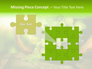 Bundle Copy Vegetation PowerPoint Template