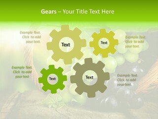 Bundle Copy Vegetation PowerPoint Template