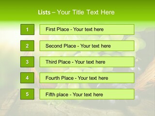 Bundle Copy Vegetation PowerPoint Template
