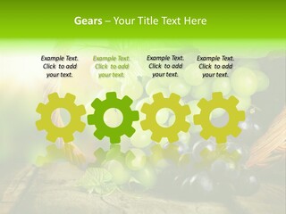 Bundle Copy Vegetation PowerPoint Template