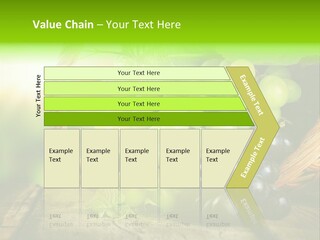 Bundle Copy Vegetation PowerPoint Template