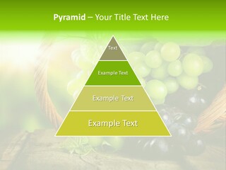 Bundle Copy Vegetation PowerPoint Template