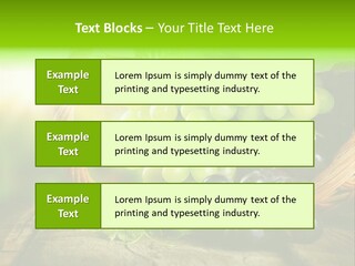 Bundle Copy Vegetation PowerPoint Template